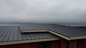 Best Roof Leak Repair  in Oak Hill, WV